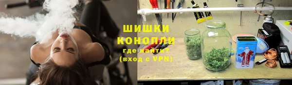 прущие грибы Балабаново