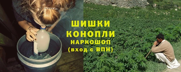 прущие грибы Балабаново