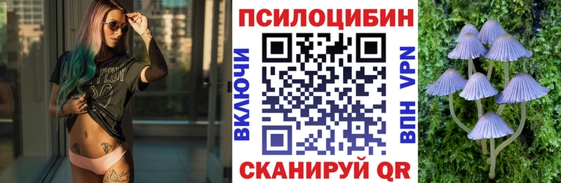 закладка  кракен зеркало  Галлюциногенные грибы Psilocybe  Лебедянь 